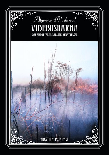 Videbuskarna och andra vidunderliga berttelser (kartonnage)