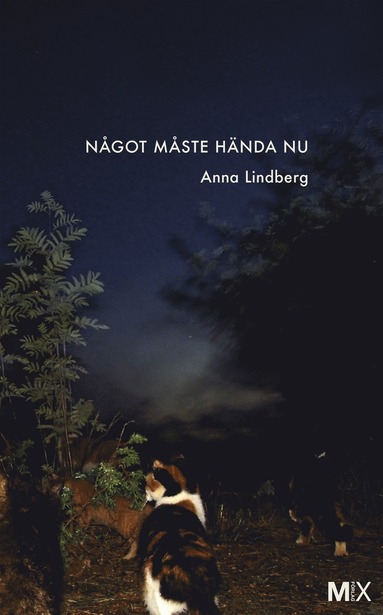 Ngot mste hnda nu (kartonnage)