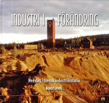 Industri i förändring : nedslag i svensk industrihistoria (storpocket)