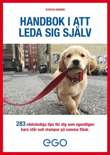 Handbok i att leda sig sjlv (hftad)