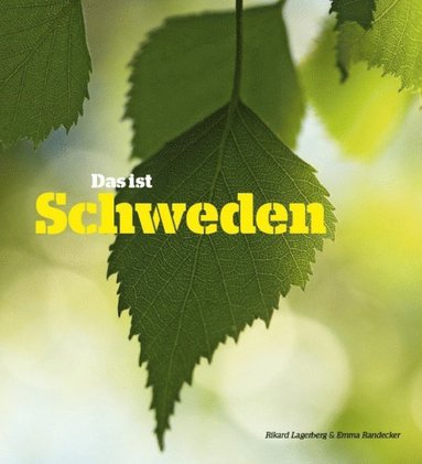 Das ist Schweden (inbunden)