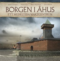 Borgen i Åhus : ett medeltida maktcentrum (inbunden)