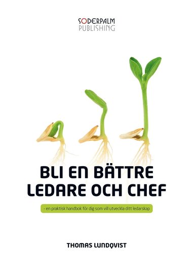 Bli en bttre ledare och chef (e-bok)