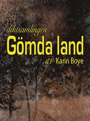 Gmda land (e-bok)