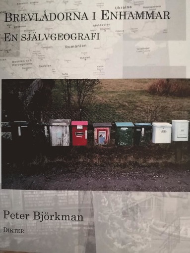 Brevldorna i Enhammar : en sjlvgeografi (pocket)