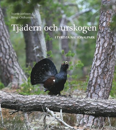 Tjdern och urskogen : i Tyresta nationalpark (hftad)