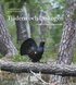 Tjädern och urskogen : i Tyresta nationalpark