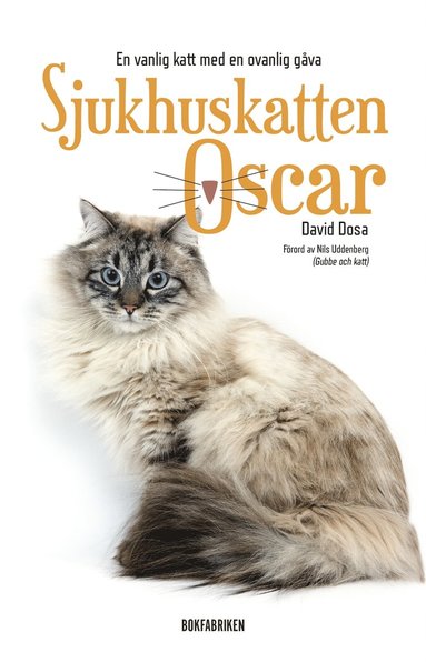 Sjukhuskatten Oscar : en vanlig katt med en ovanlig gva (e-bok)