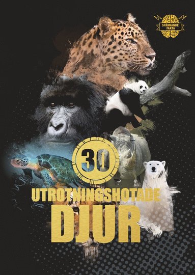 30 utrotningshotade djur (inbunden)