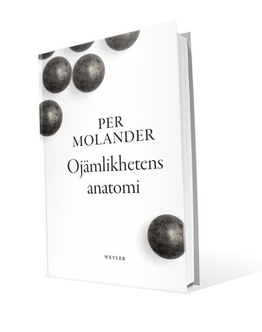 Ojämlikhetens anatomi (häftad)