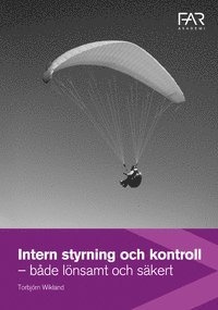 Intern Styrning och kontroll - både lönsamt och säkert (inbunden)