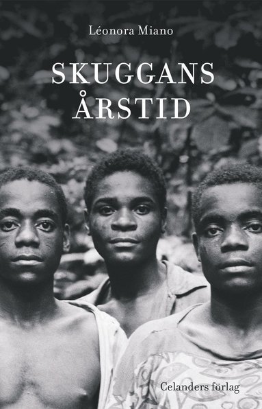 Skuggans årstid (pocket)