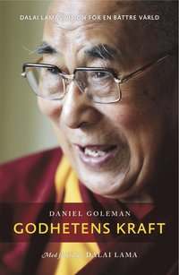 Godhetens kraft : Dalai Lamas vision för en bättre värld (inbunden)