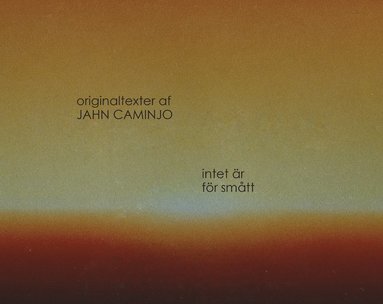 intet �r f�r sm�tt (inbunden)