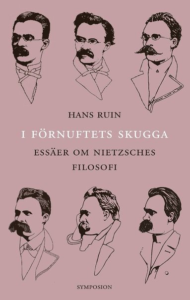 I frnuftets skugga : esser om Nietzsches filosofi (inbunden)