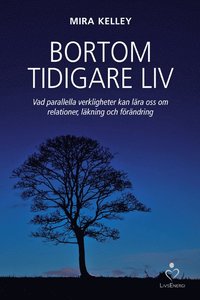 Bortom tidigare liv : vad parallella verkligheter kan lra oss om relationer, lkning och frndring (inbunden)