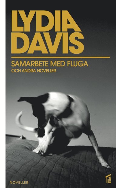 Samarbete med fluga och andra noveller (pocket)