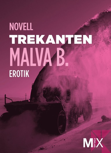 Trekanten : en novell ur Begr (e-bok)