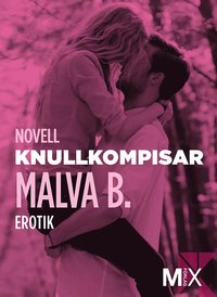 Knullkompisar : en novell ur Begär (e-bok)