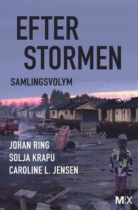 Efter stormen (e-bok)