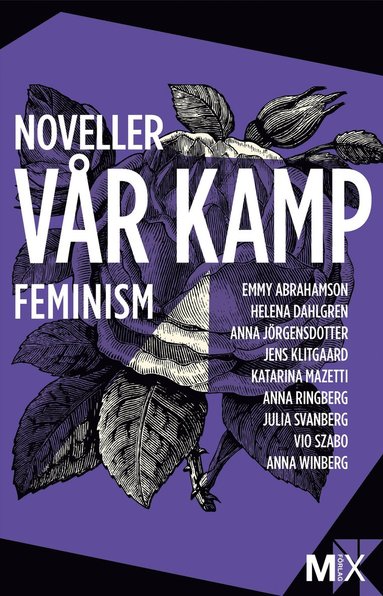 Vr kamp : feministiska noveller (e-bok)