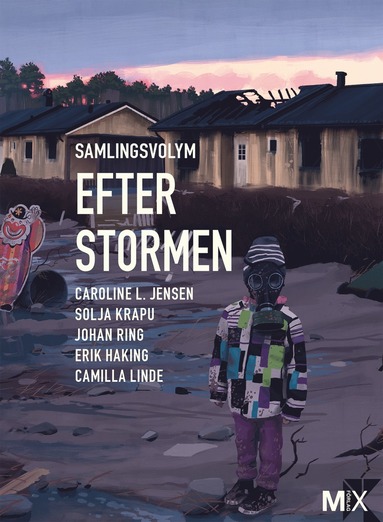 Efter stormen : utökad samlingsvolym (kartonnage)