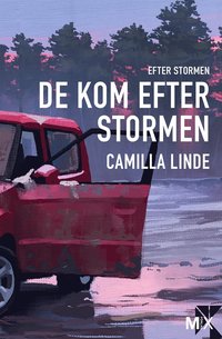 De kom efter stormen (e-bok)