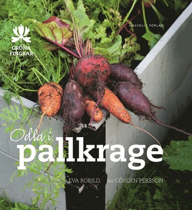 Odla i pallkrage (häftad)