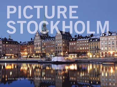 Picture Stockholm (inbunden)