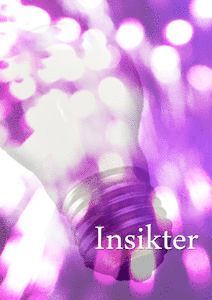 Insikter (hftad)