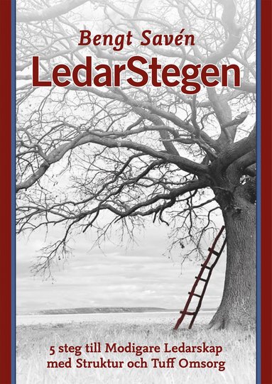 LedarStegen : 5 steg till modigare ledarskap med struktur och tuff omsorg (pocket)