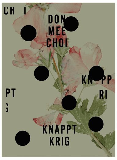 Knappt krig (pocket)