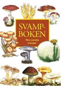 Svampboken : våra svenska svampar (häftad)