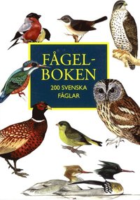 Fågelboken : 200 svenska fåglar (häftad)