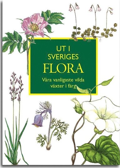 Ut i Sveriges Flora: v�ra vanligaste vilda v�xter i f�rg (inbunden)