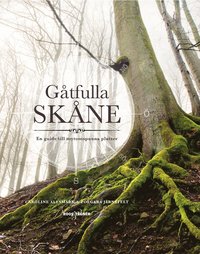 Gtfulla Skne : en guide till mytomspunna platser (hftad)
