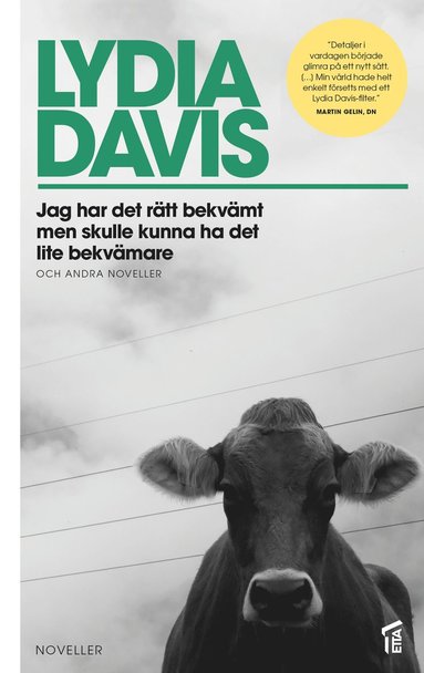 Jag har det rtt bekvmt men skulle kunna ha det lite bekvmare (pocket)
