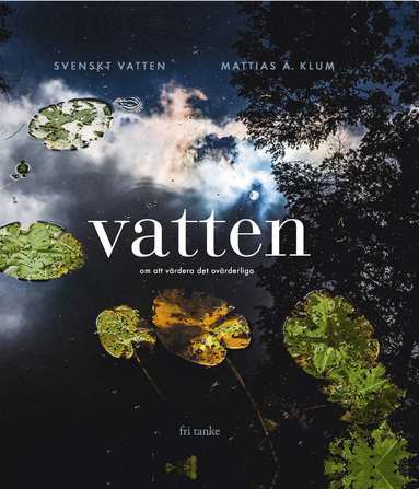 Vatten : Om att vrdera det ovrderliga (inbunden)