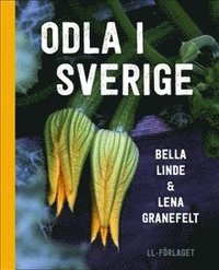 Odla i Sverige / Lättläst (inbunden)