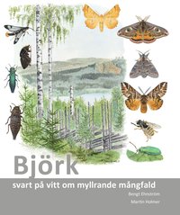 Björk : svart på vitt om myllrande mångfald (häftad)
