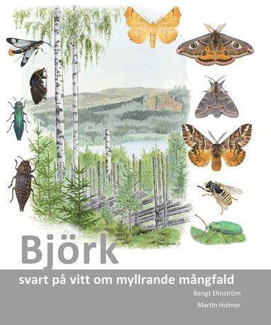Bj�rk : svart p� vitt om myllrande m�ngfald (inbunden)