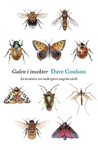 Galen i insekter : en berttelse om smkrypens magiska vrld (inbunden)
