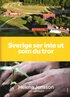 Sverige ser inte ut som du tror