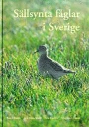 Sällsynta fåglar i Sverige (inbunden)