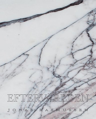 Eftervrlden : punktroman (pocket)