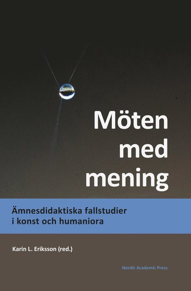 Mten med mening : mnesdidaktiska fallstudier i konst och humaniora (hftad)