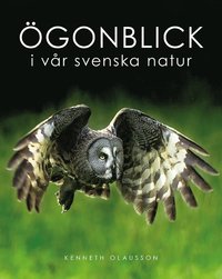 gonblick i vr svenska natur (inbunden)