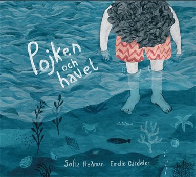 Pojken och havet (kartonnage)