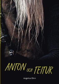 Anton och Teitur (häftad)
