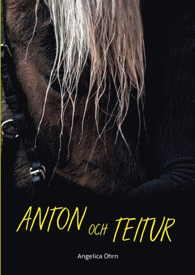 Anton och Teitur (inbunden)